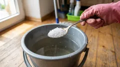 Os pisos ficam limpos durante semanas: basta uma colher num balde de água para um brilho de espelho