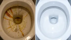 Apenas 3 gotas removem facilmente a ferrugem e o calcário da sanita